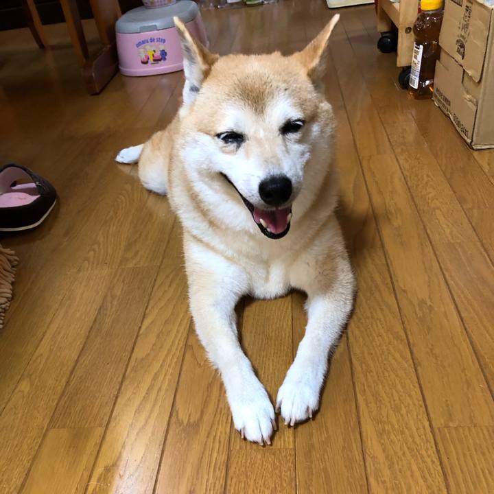 3d69f193 c800 4af8 be8c 0d85a697659e 1596358941710