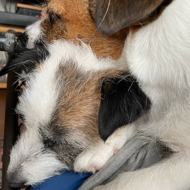 3d69f535 90dd 4a74 87a5 860a25563420 1687503695868