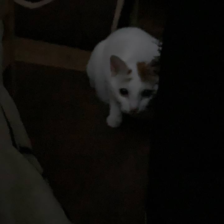 3d6a3038 3704 4c98 abc0 def4006a72a8 1582964847944