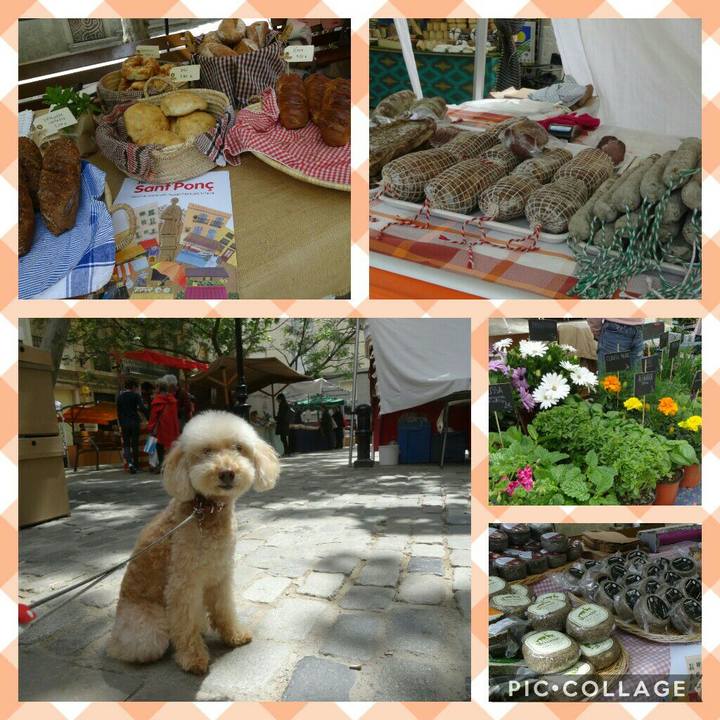 3d6a5472 f220 405a a399 589053cfafe0 1557517006824