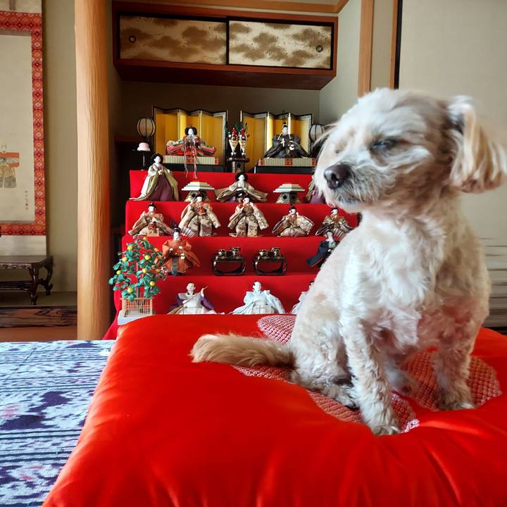 3d6a5c9c b6d9 43bb 9458 09a25230d054 1677918774848