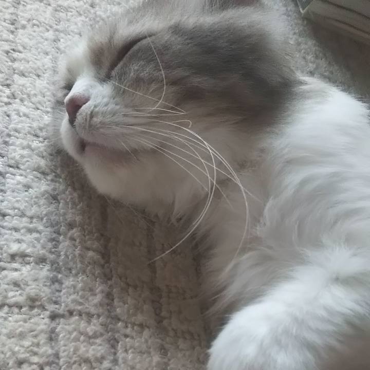 3d6a7d23 63d2 47c5 bd22 e78b5014dfda 1625468065466