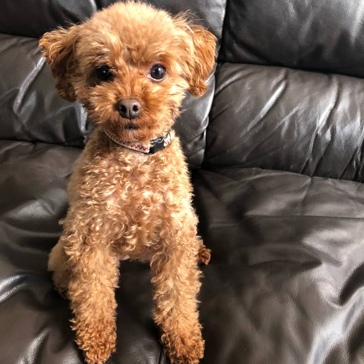 3d6a835a 2962 4076 aa0b ea0e80e60a87 1549071617340