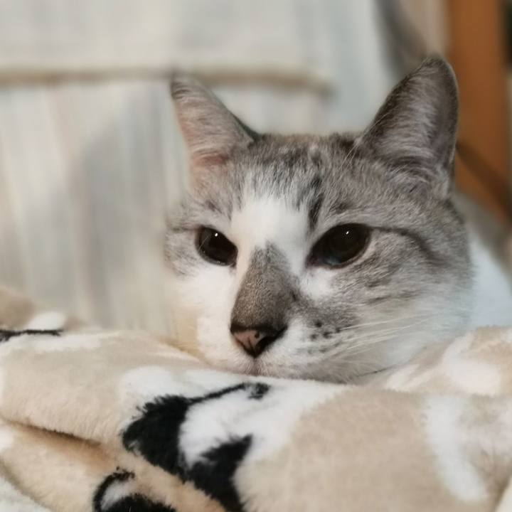 3d6ad6b7 df45 45ff 931e fd0586fab519 1556625824093