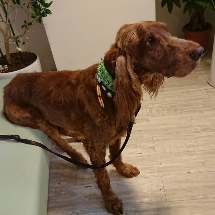 3d6b11e1 47a1 4f58 a081 90d095247cae 1589898339824