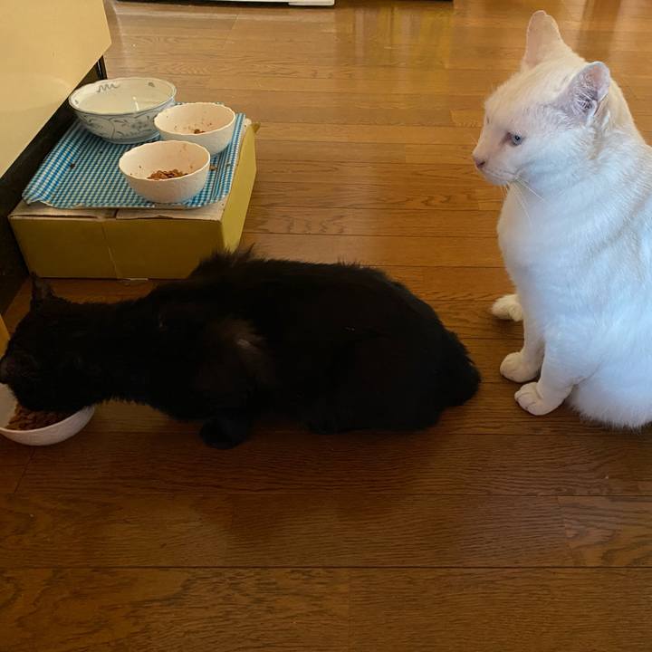 3d6b169a 9899 4193 9856 496128fbf683 1651265596326