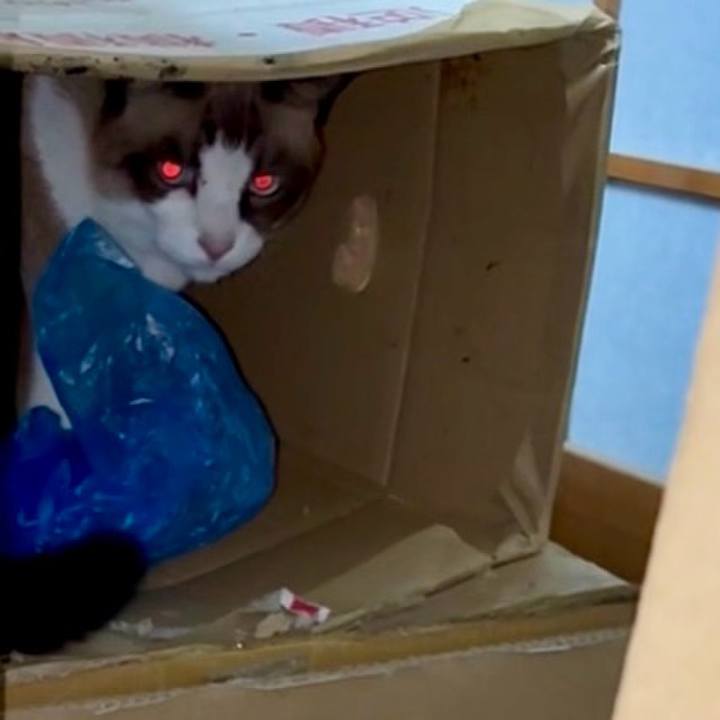 3d6b384b b010 4669 b6cc a3893f79fa27 1760437077813