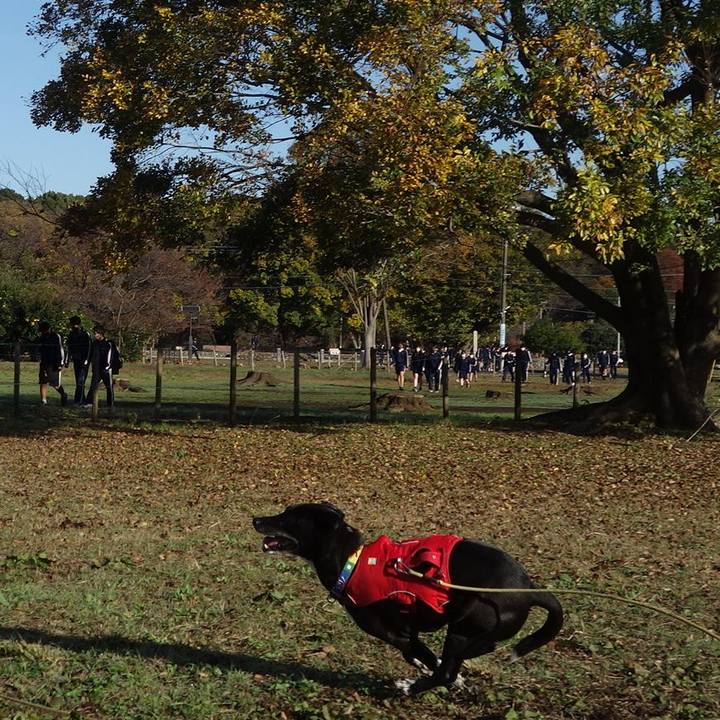 3d6b544e d467 4d55 99f2 8dda149d6dcb 1669080848733