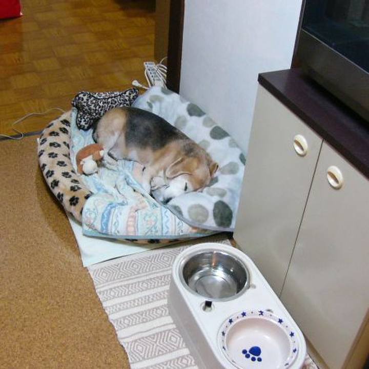 3d6b546b 8f17 4ca9 9cd9 5b1158ef70fe 1678151791730