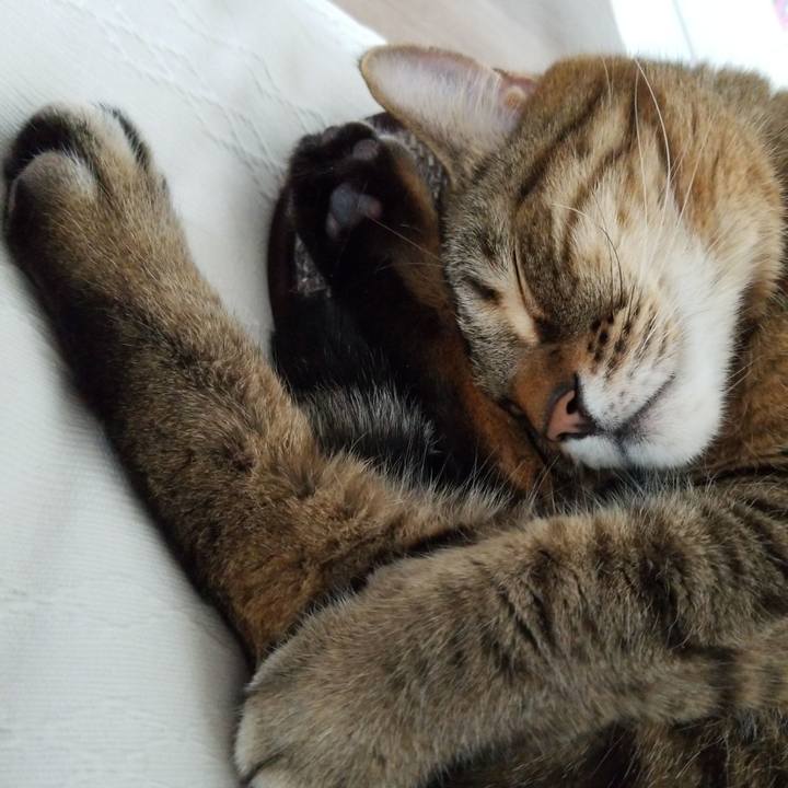 3d6b7e49 d005 40aa bc7b 54da27e7f03d 1588141572471