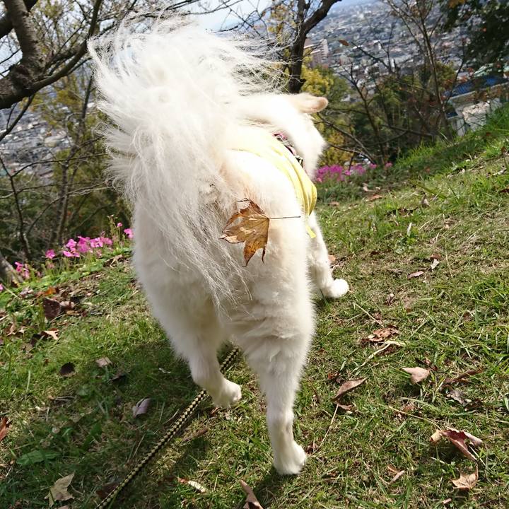 3d6bd29a e75c 4fe8 9128 ea724271eb58 1636939221957