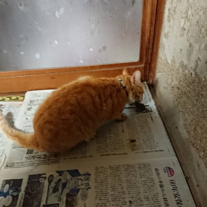 3d6be671 2543 4edc a166 0dc659307146 1590359339646