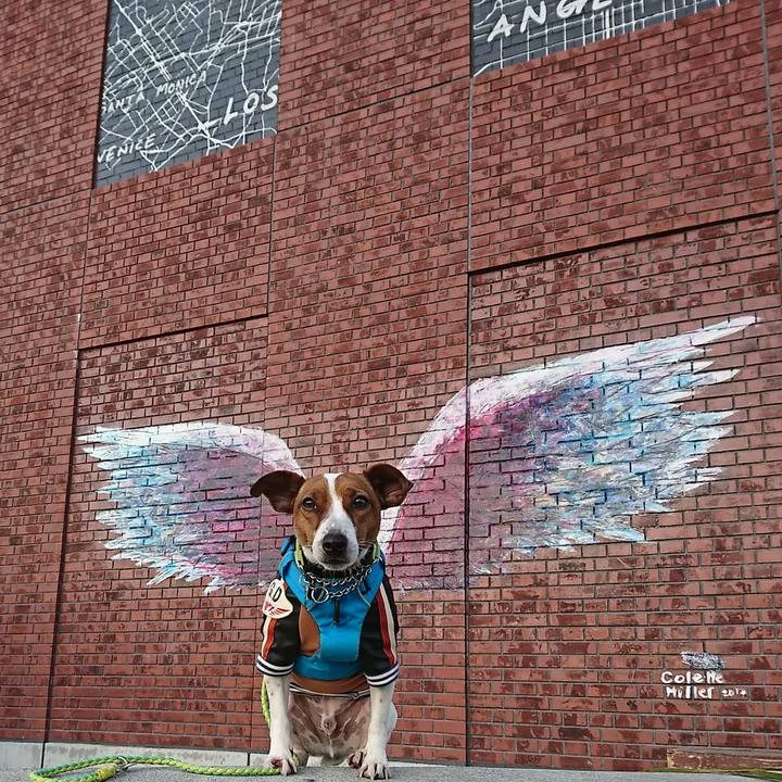 3d6bebc9 c293 475c 88fd c9e1f16444cf 1578744136820