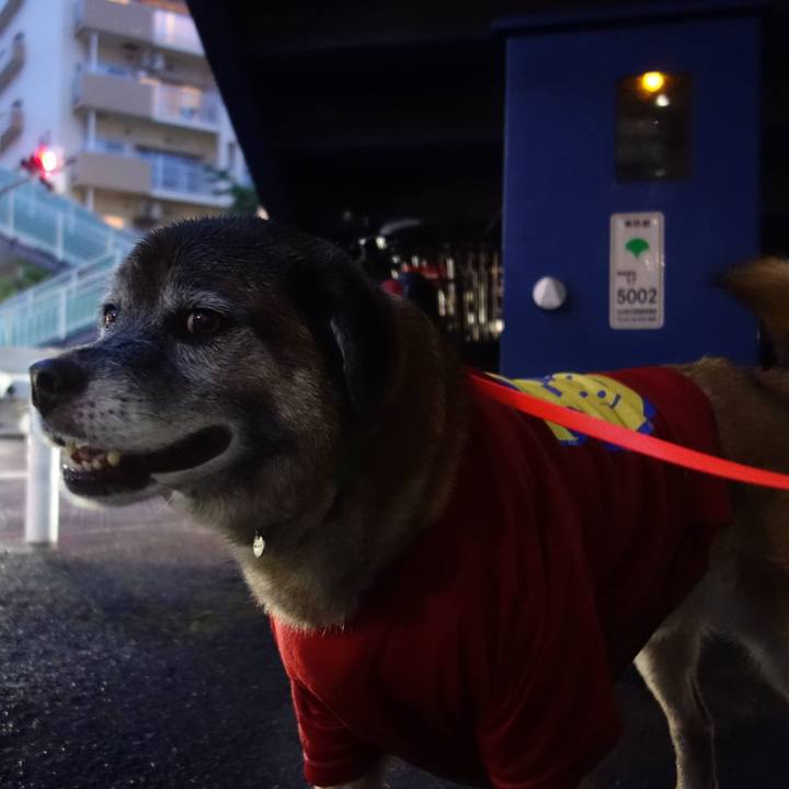 3d6bf109 415d 4c7a ac24 1192cde1e46d 1528636527822