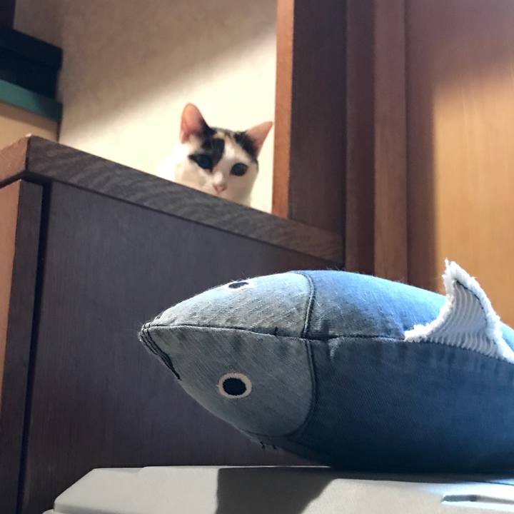 3d6c4d3c fb12 4f3a 8567 3282c0081f60 1536716114527