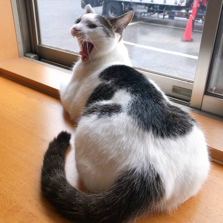 3d6c70ef fed7 412a 8f1e e4a734995d87 1595800741962