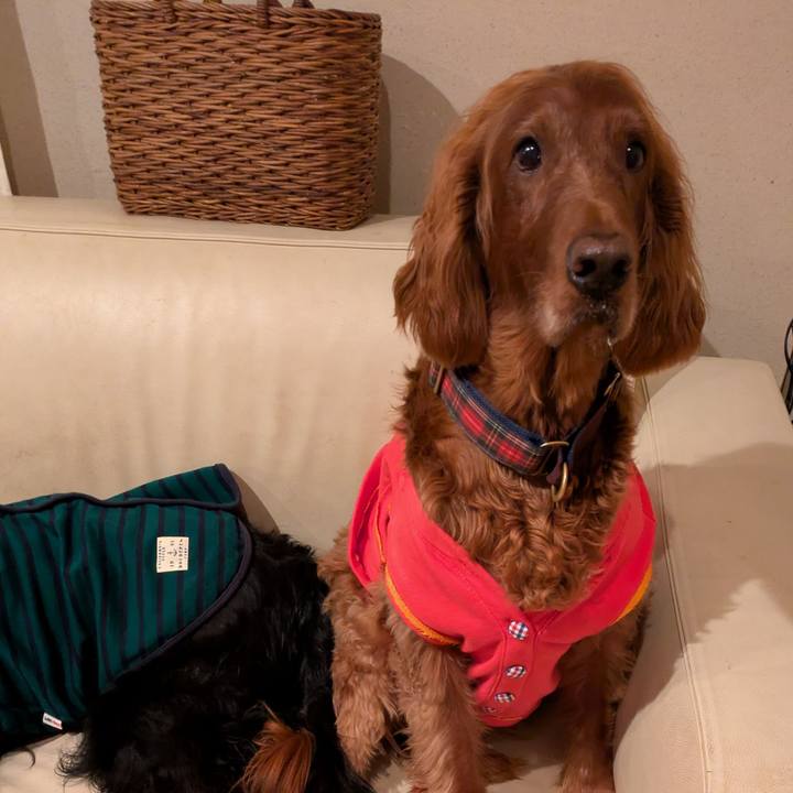 3d6c9cd9 7629 40a9 9fe0 6ff00c323ba5 1762264910972