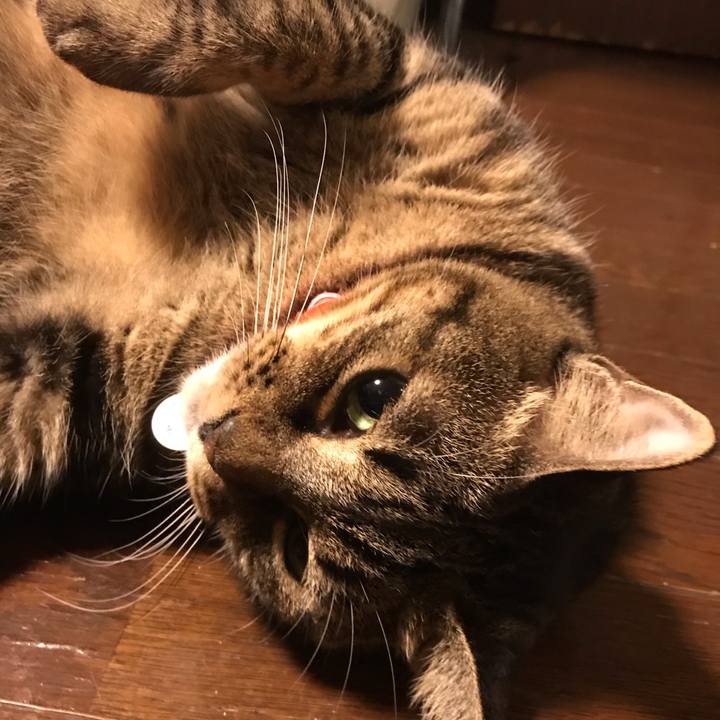 3d6ca0f1 92ad 4d39 8d17 b9b0d530e97a 1605269862409