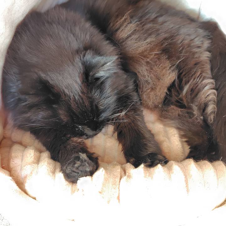 3d6cb633 b4fc 46b9 b76e 74b252c9fbf1 1766983182677