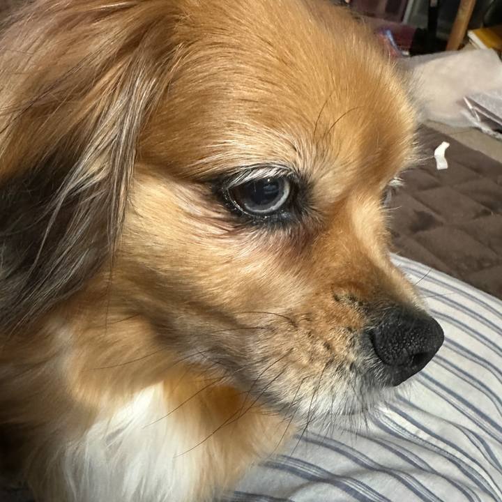 3d6cc354 b382 4ae6 a68e a414fce79d8b 1743457327288