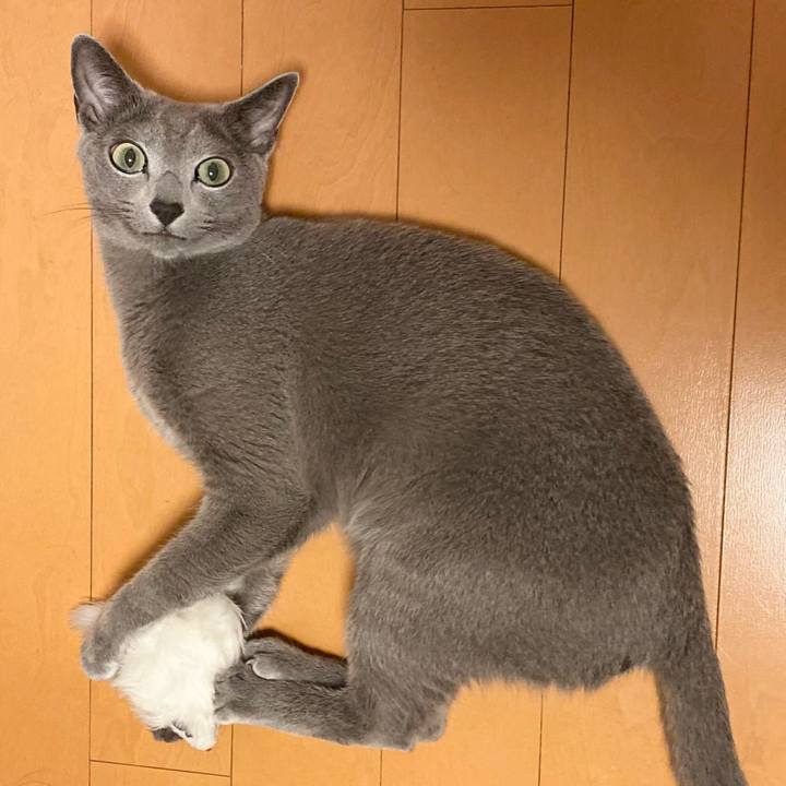 3d6cc50c a30e 4fc7 b3c0 0cdfd2e584af 1692534058104