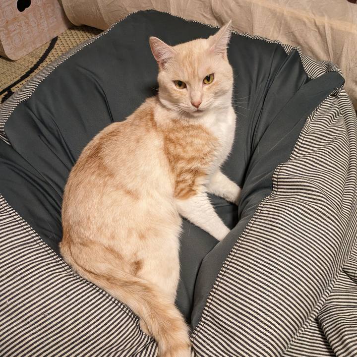 3d6ccf32 637d 458a 9715 097698435bfd 1692532838823