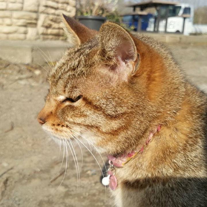 3d6d0f04 ad10 4875 a8e0 4f28341f53aa 1522288947213