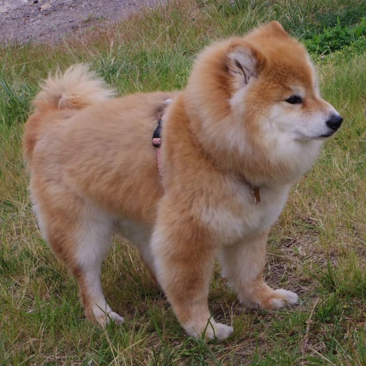 3d6d5818 f91c 4827 a4de 0e7f71372768 1511702355738