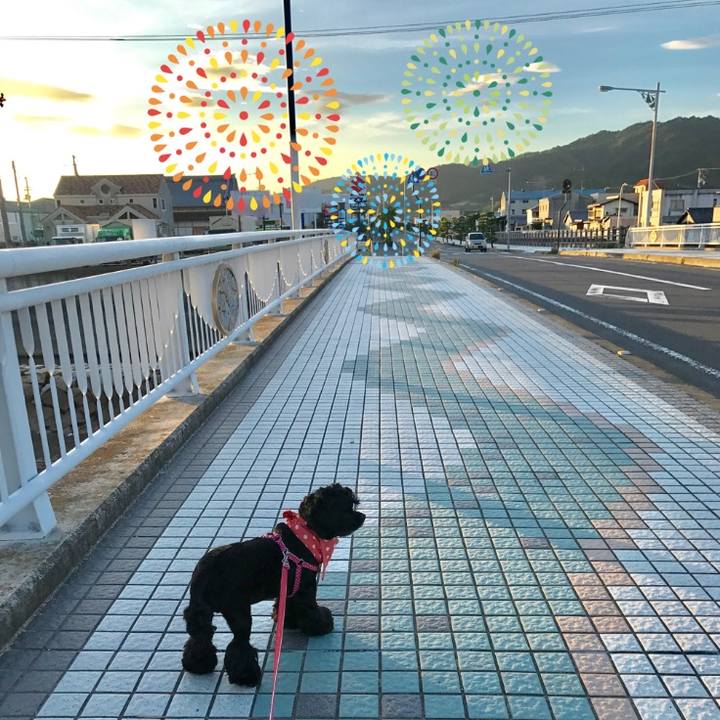 3d6d61e0 2b65 485e b7ab 33dab978b8bf 1533374149498