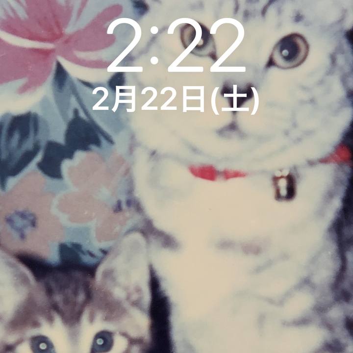 3d6da18d 87ae 4d31 b269 8df35b512846 1582307175102