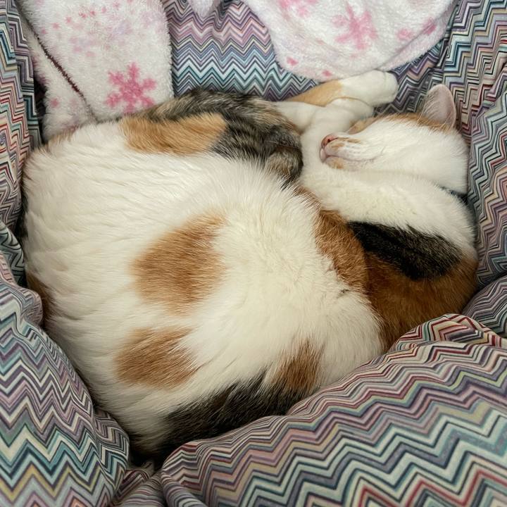 3d6da3cd da3c 43b3 8f7e bba2bd9eb0dd 1708216009832