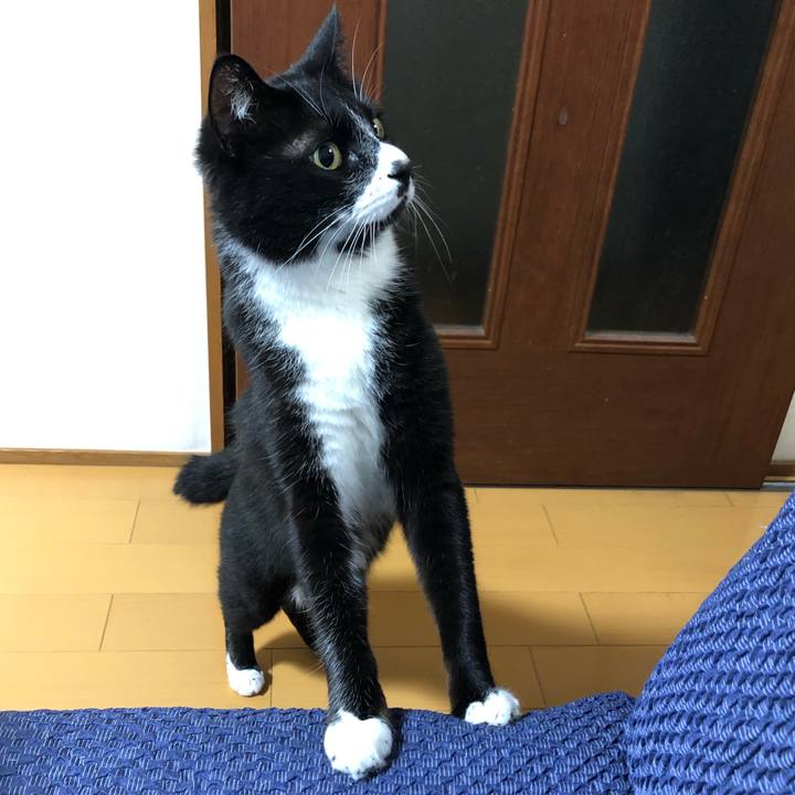 3d6db745 feb8 4c7c abb1 a63d6ef18319 1655868390288