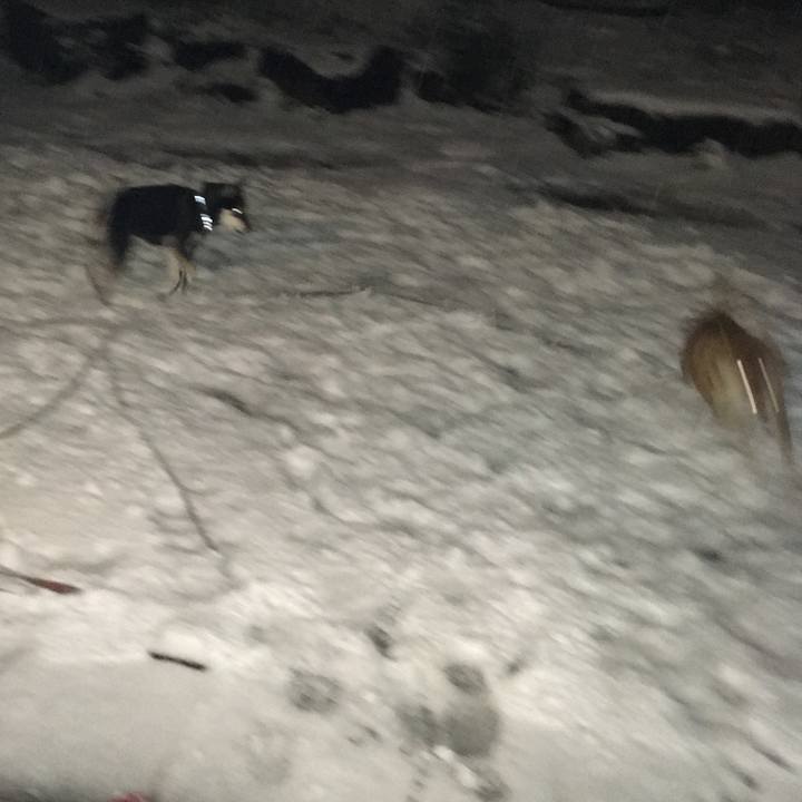 3d6dbe40 f183 4d2e bf02 8505c5e020d8 1513085842504