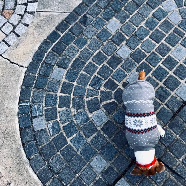 3d6dce06 104e 453d 92e9 6fb9edc59bfd 1576485106977