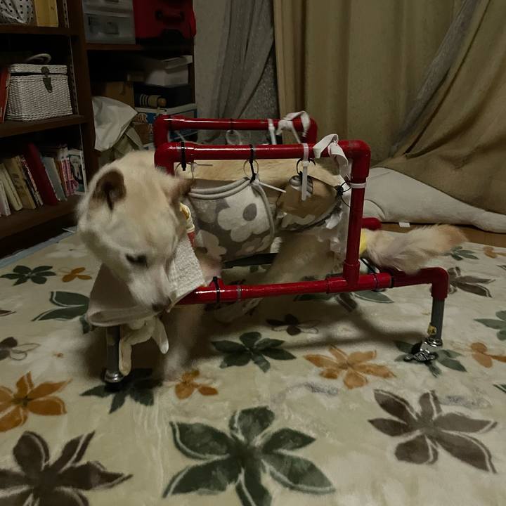 3d6dec0f 1fc4 4265 9098 4d5a81dc234a 1672174162544