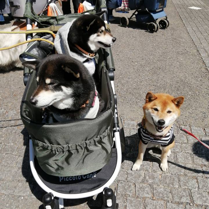 3d6e0448 bd87 4d21 9dd7 5db0bcb6a955 1618069554586