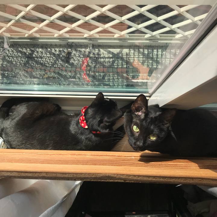 3d6e2717 135e 400d 9a2b 91e2d1df734b 1519957362563