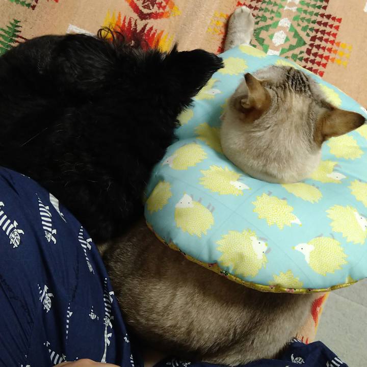 3d6e27c5 af33 456e 918d d4276f6ef727 1666184478723