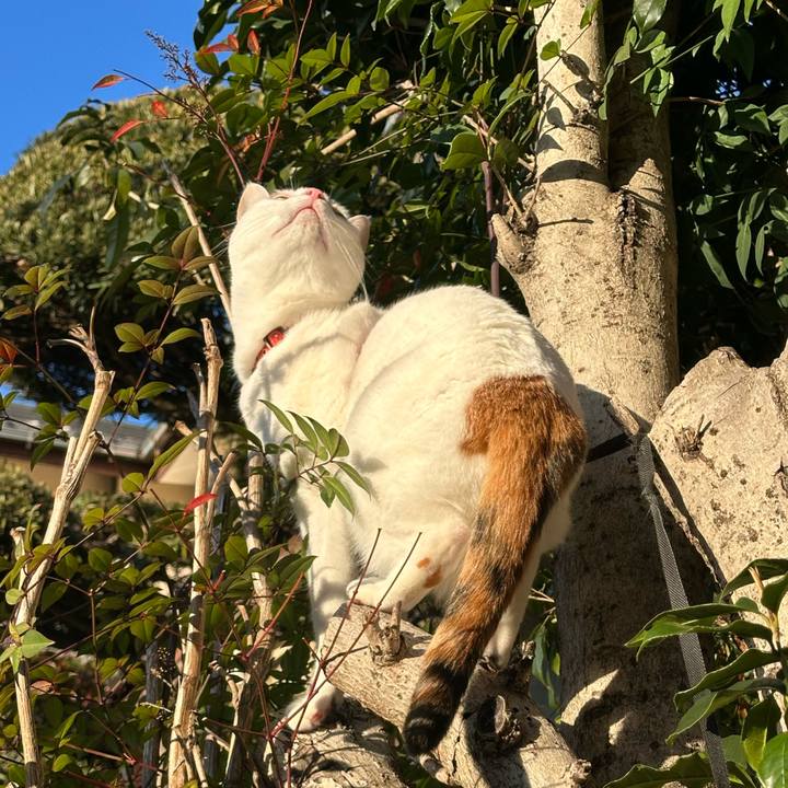 3d6e357f 5798 4074 a299 f3549913be40 1742187736867