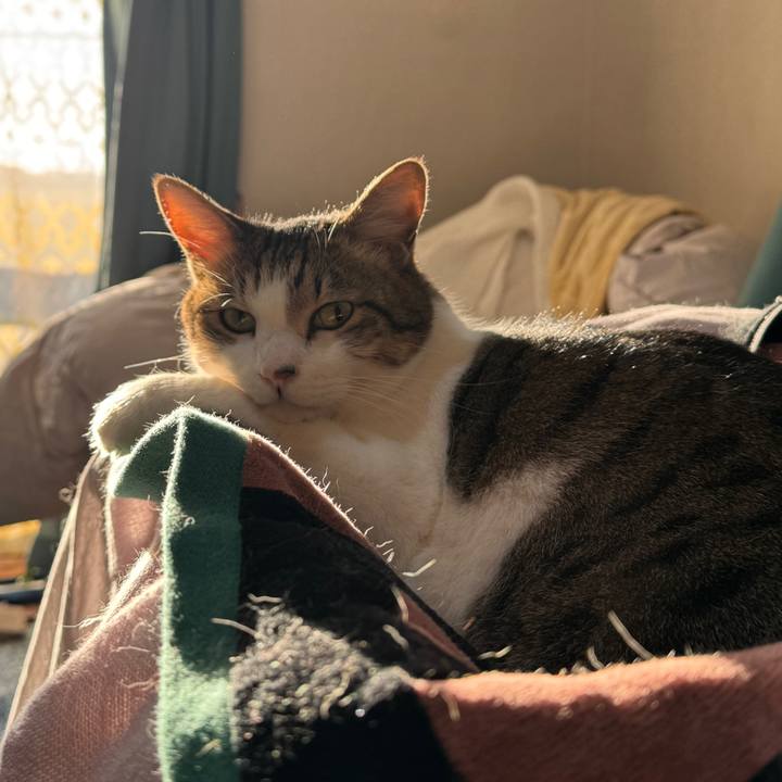 3d6e50d8 5804 4837 bf9d 67e990e0b2e2 1763971438684