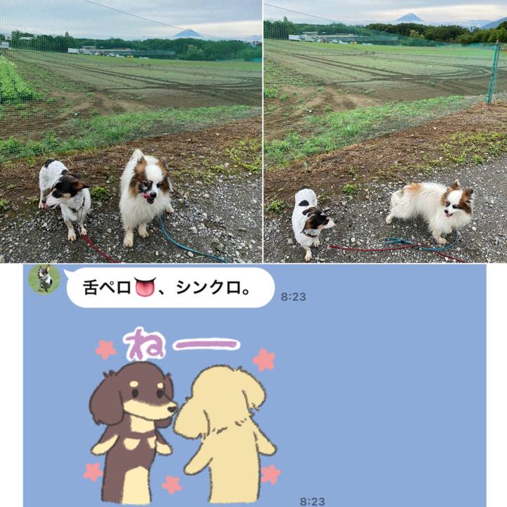 3d6e7376 6ee7 4b0b 81ed 8ccf96413e06 1621493307519