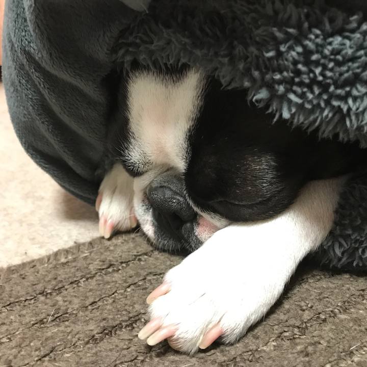 3d6e75f4 db73 4e40 89e0 700dcfa7b15a 1549789146466