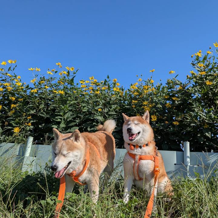 3d6e7a5d 7c64 434d 8768 1eb89d4eac05 1760664727084