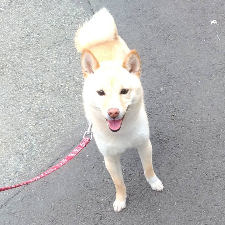 3d6eb986 d25d 4ab1 bfe2 d92c7e7c8a20 1523097942302