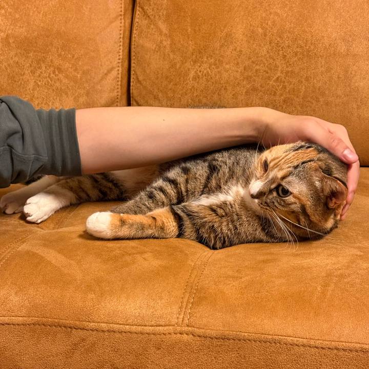 3d6ee104 b621 45a4 ac26 1e7863d73988 1774262019893