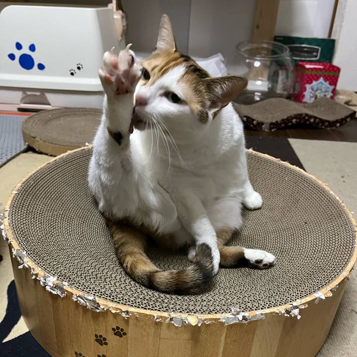 3d6f5af5 072d 49d2 9242 1f440fccab5a 1764789199337