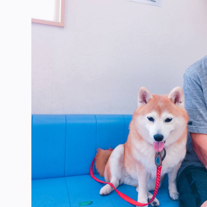 3d6f60c3 df38 4665 a99b a702ad7ec08a 1530791770967