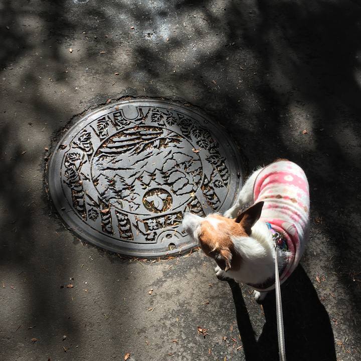 3d6fafbc c790 45dc bdf8 4c2c91f35daa 1635290761048