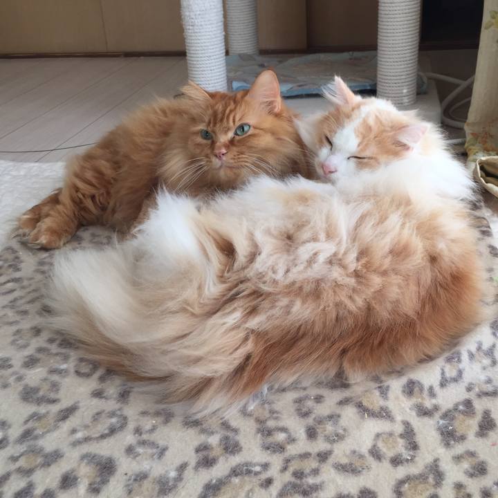 3d6fdb3c 516a 4855 9da9 40decdc57087 1511472436563