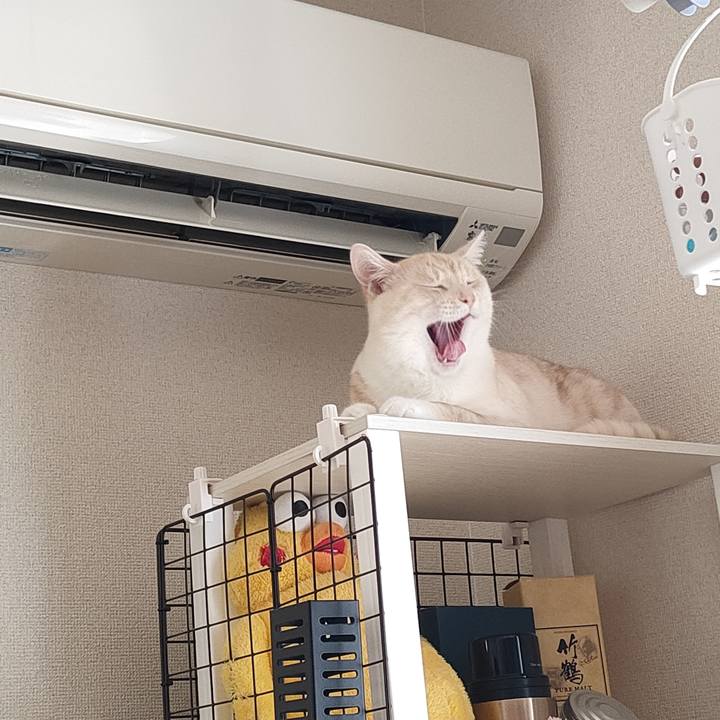 3d7017b0 2eda 4c29 a13e f8db551a615d 1659922163422